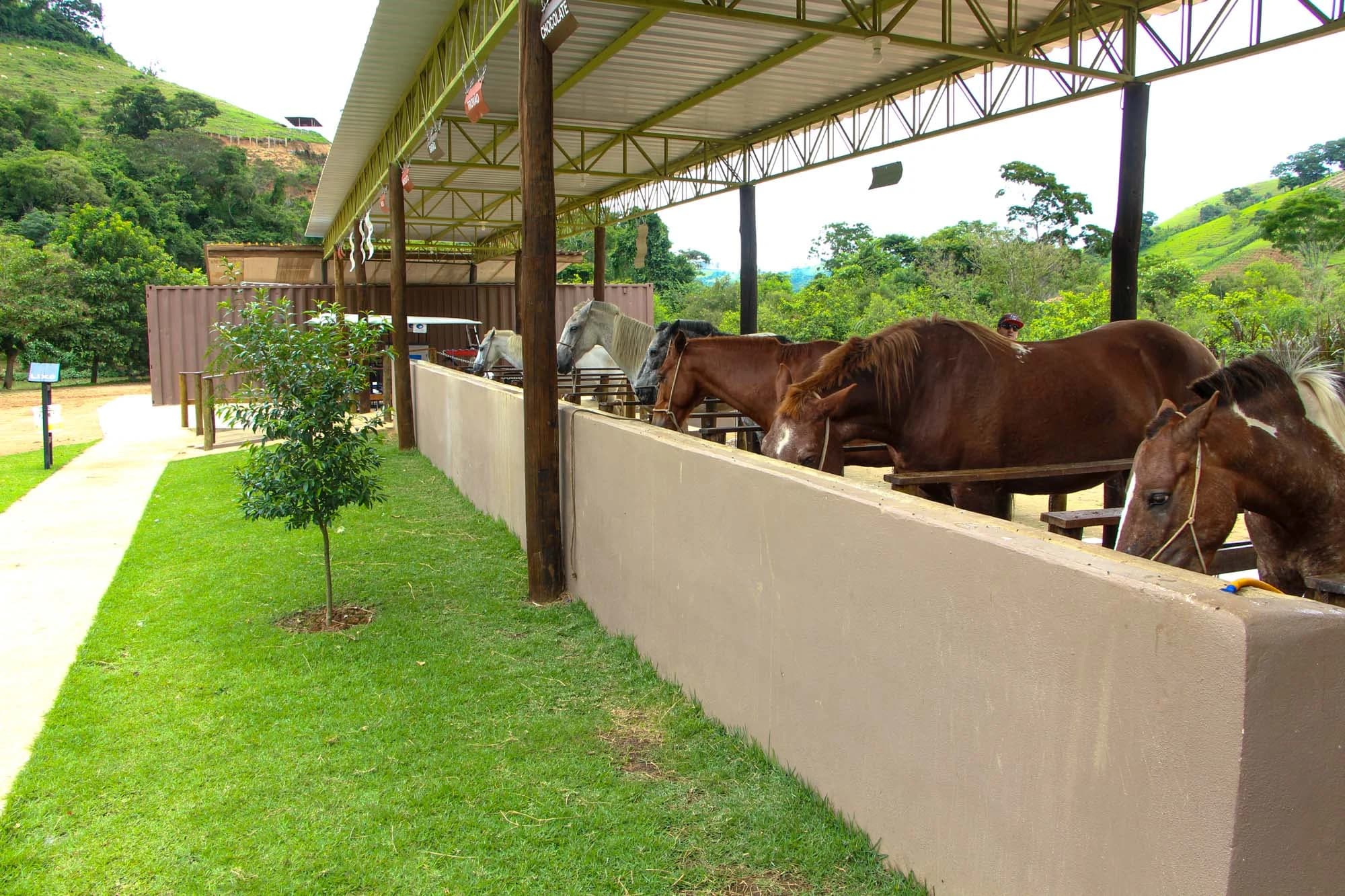 Cavalos no estábulo · Hotel Fazenda Terra dos Sonhos